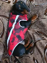 Dog Coat Dog-Jacket Labrador Reflective Large Breed Chihuahua Waterproof Winter Overalls