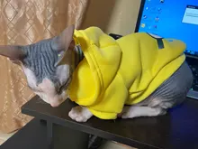 Ropa con estampado de dibujos animados para perro, abrigo cálido para invierno, chaqueta para perros pequeños, Chihuahua, Bulldog Francés, disfraz de peluche, ropa para mascotas