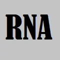 RNAOnline Store
