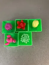 Magic-Toys Expansion-Plant-Toy Flower-Cactuse Water Growing Children Bonsai for The GYH