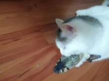 Doll-Pillow Cat-Toy Cat Mint Simulation-Fish Grass-Carp Funny New Pet-Molar