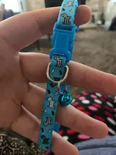 Collar de policarbonato para perros, hebillas ajustables con campana, correa para el cuello, suministros para mascotas, accesorios para perros pequeños, Chihuahua, Bulldogs, 1 unidad