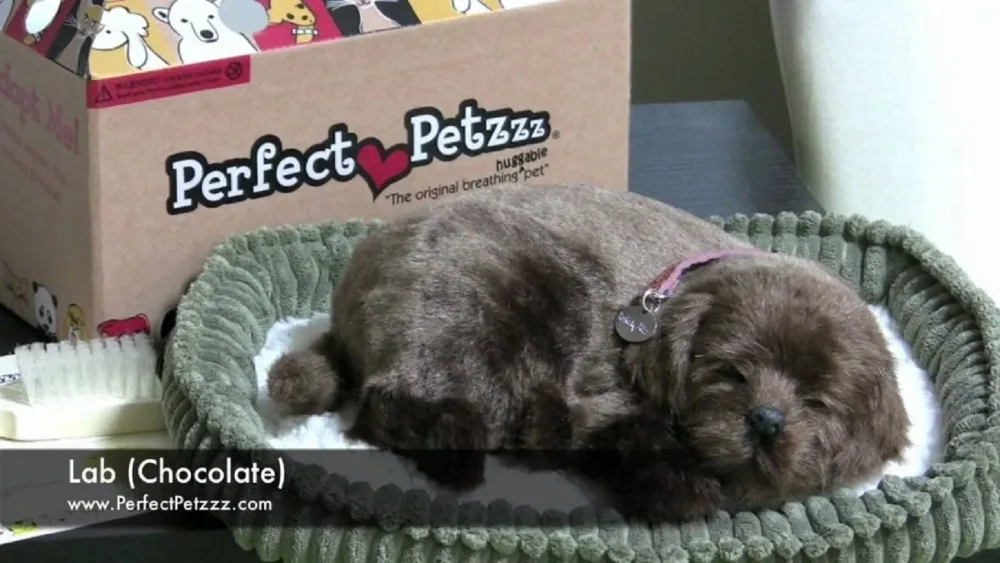 Щенок Лабрадор шоколадный с дыханием PerfectPetzzz