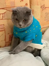 Pet Cat Reindeer Sweater Winter Warm Cat Clothes for Cats Kedi Outfit katten Clothing