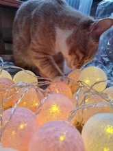 Garland-Lights String Fairy-Lights-Decoration Cotton-Ball Xmas Wedding-Party Holiday