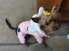 Dog Overalls Clothing Puppy Winter Coat Hoodie Pet-Dog Cotton Thicken Dot for Small Big-Polka-Dot