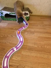 Toy Cat Pet-Toys Pet-Accessories Play Tunnel Interactive-Track-Ball Suction-Cup Round-Shape