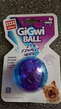 GIGWI Pet Toys G-Ball Series S/M/L Transparent Squeaky Interactive Ball Dog Toys Bite
