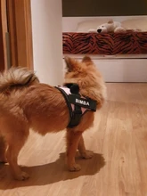 Arnés transpirable reflectante sin tirones para perro, chaleco de arnés de mascota ajustable con parche personalizado de identificación, suministros para caminar al aire libre