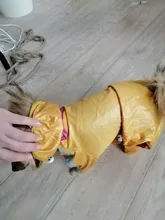 Ropas impermeables para perro para perros pequeños para abrigos lluvia chaqueta chubasquero de cachorro ropa para Chihuahua y Yorkshire productos para mascotas 30S2