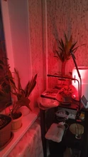 Phyto-Lamp Grow-Light Flower Seedlings Goodland USB Full-Spectrum For Plants LED 