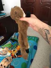 Juguetes de peluche divertidos para mascotas, zorro, León, conejo suave, pequeño, mediano, masticable para perros, accesorios para mascotas