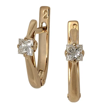 

2_01223 earrings (au 750)