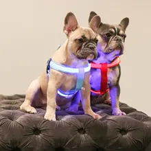 Arnés de seguridad LED de nailon para mascotas, producto para perro, Con luz intermitente, correa, Collar, chaleco, suministros para mascotas