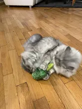 Squeaky Pet Cat Toys for Cats Catnip Plush Cat Toy Plush Kitty Katten speelgoed gatos