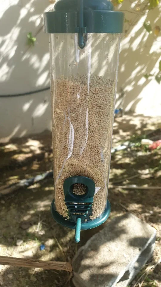 Hanging Outdoor Bird Seed Holder Life Changing Products