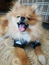 De lana caliente ropa de perro mascota lindo cráneo impreso Pet cachorro camisa para perros chaqueta Bulldog francés Jersey camuflaje perro ropa