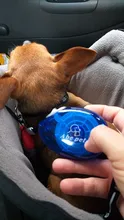 Correa retráctil para perros de 3M correas de Nylon duraderas para perros cuerda austomática extensible cables para mascotas para perros pequeños medianos grandes que caminan