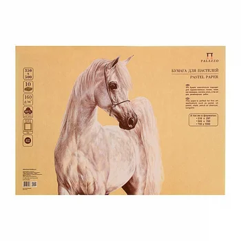 

Paper for pastels Palazzo sheet 50x70 cm 160g/m2