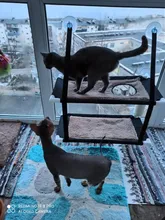 Bearing Hammock Cat Balcony Climbing Waterproof Sleeping-Mattress Cat-Bed-Cat Pet Fabric