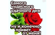 1Set Toilet Bidet Tap Handheld Shower Sprayer Female Hygeian Flushing Device Kit