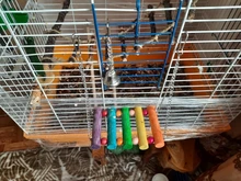 1pc Hot Sale Pet Bird Parrot Toys Parakeet Budgie Cockatiel Cage Hammock Swing Toy Toy