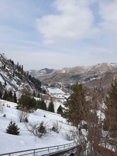 Bathroom Faucet Basin Faucet-Contemporary Brass Deck Single-Handle New Accoona A9067