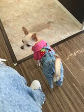 Jeans Clothing Jacket Coat Dog-Costume Puppy Dogs Small Denim Pet Medium for Chihuahua