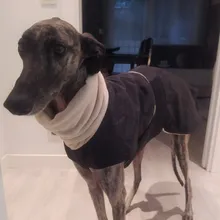Jacket Clothing Coat Greyhound Waterproof Dog Dogs Large Super-Warm Medium Thick 