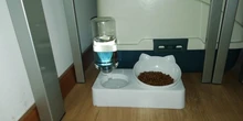 Pet-Supply Dish-Bowls Raised-Stand Pet-Cat-Bowl Water-Dispenser Drinking Automatic Dog