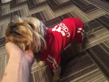 Costume Pet-Jumpsuit Puppy-Outfit Dogs French Bulldog Chihuahua Medium Pug-Pets Small