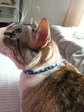 Christma-Collar de gatito reflectante con cierre de seguridad, Collar de hebilla ajustable de alta visibilidad con colgante de campana para mascotas