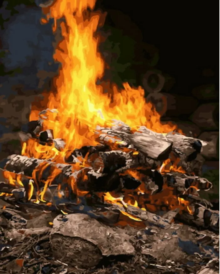 

Paint by Numbers , beginner to Advanced Number Painting Kit bonfire DIY Adult Arts and Crafts