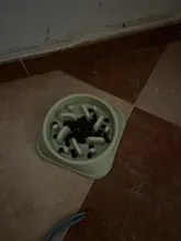 Dish Food-Bowls Eating-Feeder Puppy Bowel Feeding Slow-Down Dogs-Supplies Prevent Pet-Dog