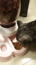 7 pocilga Gato tazón para comida de perro de tazones de alimentación 2 L perros de alimentación fuente de agua potable de 600ml Waterer gatito lento de cachorro