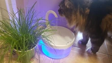 Fuente de Gato de 2L con luz azul, dispensador de agua automático alimentado por USB, alimentador de gatos, filtro de bebida para gatos y perros, proveedor de mascotas