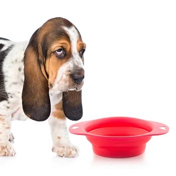 

Folding Pet Bowl Heart
