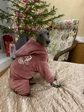 Coat Jumpsuit Clothing Puppy-Fleece Hoodie Apparel Pet-Dog Winter New Warm Velvet