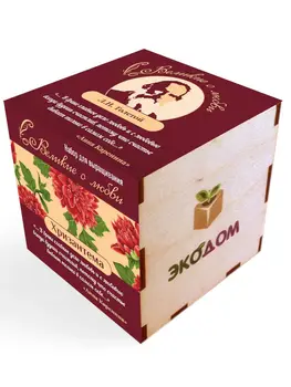 

Set for growing artcoolpresent "chrysanthemum"