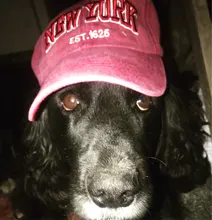 Baseball-Cap Embroidery Sports-Caps Vintage Outdoor New York Women Letter Sand-Washed