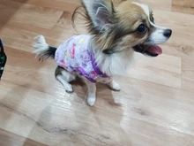 Clothing Puppy-Vest Dog-Coat Pet-Cat-Clothes French-Bulldog Small Dogs Chihuahua Winter