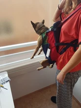 Pet-Backpack-Carrier Puppy-Mochila Dog-Bag Bulldog Dogs Carrying Animals Travel Small