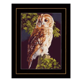 

"Embroidery kit", "floss embroidery kit", "cross stitch", "counted cross", "LanArte", "counted cross stitching"