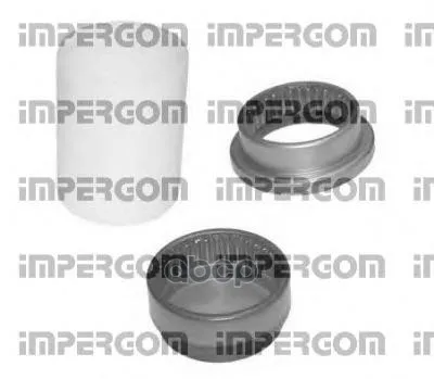 Ремкомплект Балки Моста Задн Citroen: Berlingo 96-, Xsara Picasso 99-, Peugeot: 405 87-95, Partner 96- Impergom арт. 36454