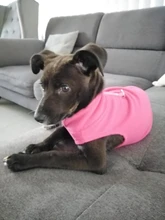 Vest Clothing Costume Pet-Jacket Fleece Doggy Puppy Animal Winter Warm for Soft-Plaid