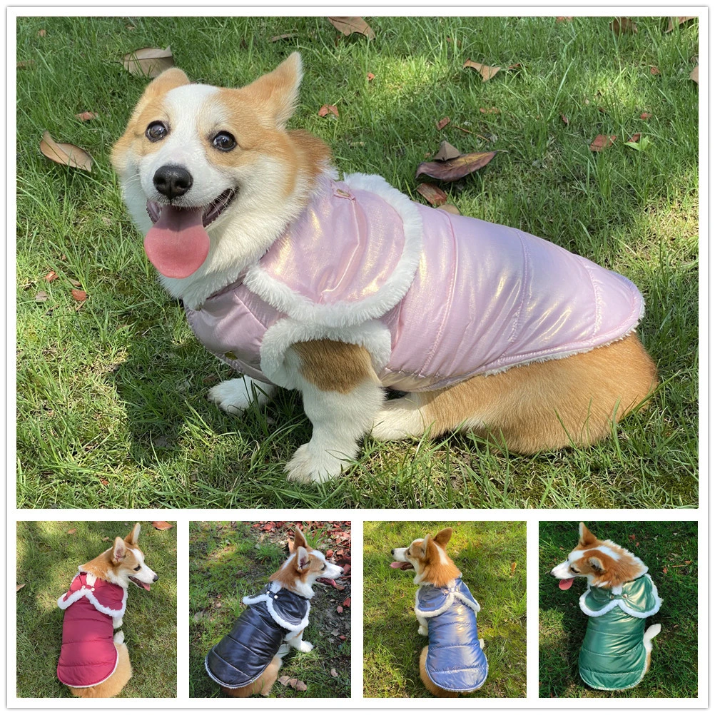 Clothes For Small Dogs Waterproof Clothes Puppy Pet Jacket Winter Warm
