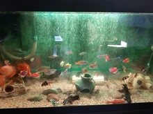Luz RGB para acuario, lámpara de buceo con control remoto de 18-59cm, lámpara colorida de 90-260v, para plantas, pecera, uso con anfibios esenciales