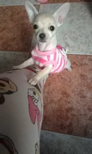 Chaleco abrigado para cachorro, con dibujos animados, en 12 colores, para perro chihuahua, bulldog francés o perros pequeños, de invierno