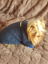 Ropa para perros de lana y Chihuahua, Ropa de invierno para mascotas pequeñas y medianas