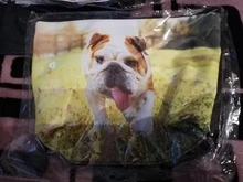 Bolsas de cosméticos con estampado de perro Pug 3D para mujer, Mini bolso de viaje con diseño de pavo real, bonito para Neceser de maquillaje